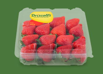 Aardbeien Driscoll's